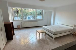 Ampio Monolocale Mondovì centro
