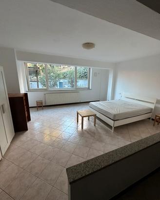 Ampio Monolocale Mondovì centro