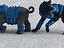 Immagine 4