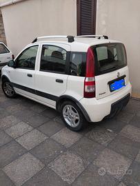 Fiat panda benz/gpl