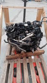 Motore Ford kuga anno 2019