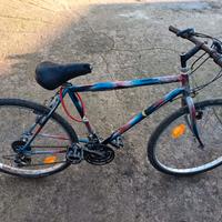 Bici Mountain bike 