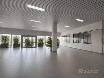 Immobile di 2000 m² con più di 5 locali a Este