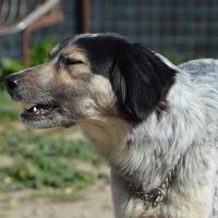 Gretel