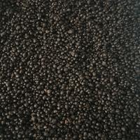 Substrato fertile per acquario