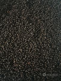 Substrato fertile per acquario