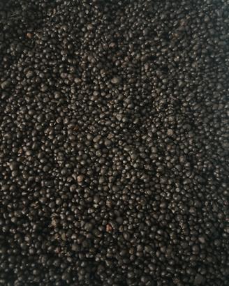 Substrato fertile per acquario