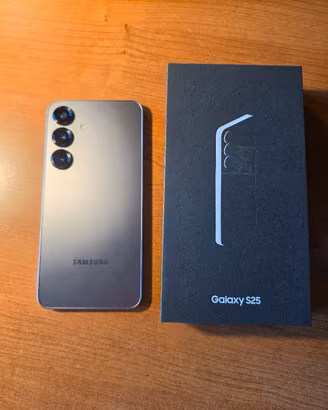Samsung Galaxy S25 256GB Silver Shadow