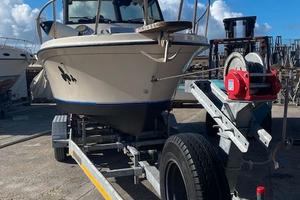 Pilotina diesel 170 HP - Pronta pesca