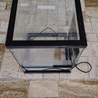 terrario piccoli rettili