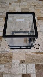 terrario piccoli rettili