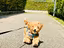 Immagine 25