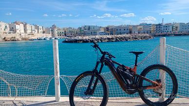 E-bike MTB Giant trance x+