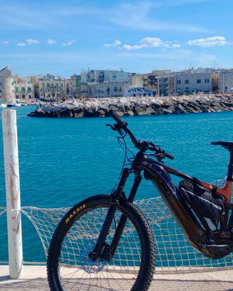 E-bike MTB Giant trance x+