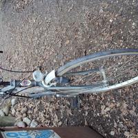 bicicletta viscontea turismo