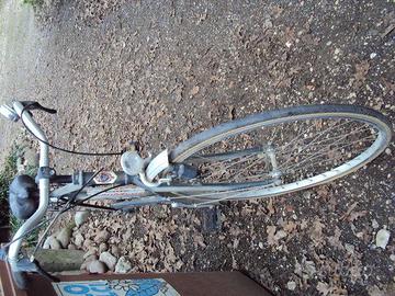 bicicletta viscontea turismo