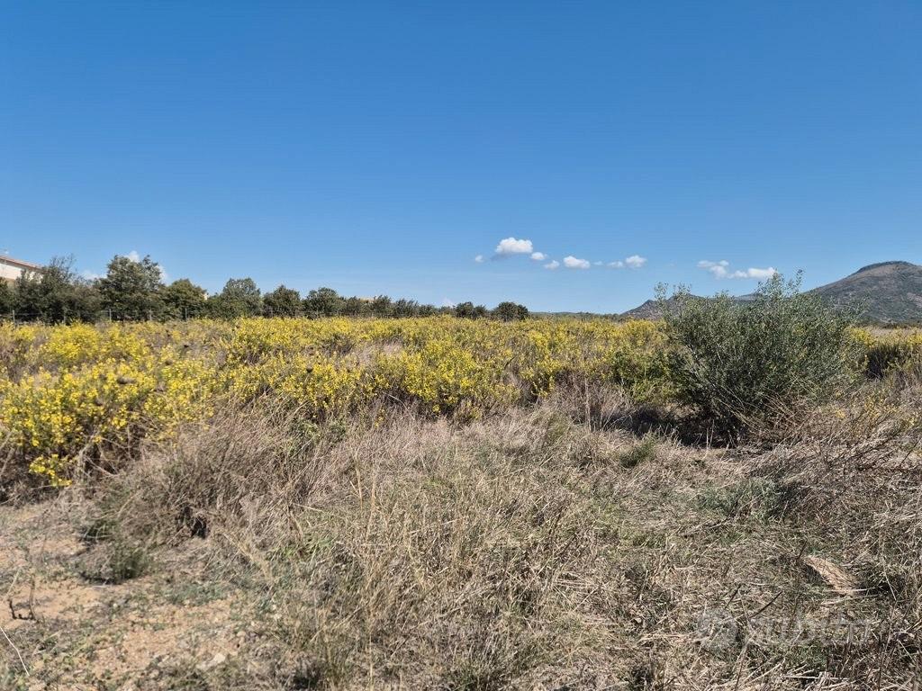 Terreni agricoli - san giovanni suergiu - Vista 2