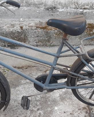 Bici da trasporto