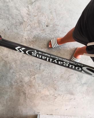 canna da pesca da spinning