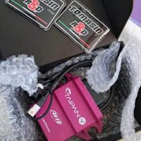 Centralina YZF 250 4 tempi