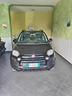 fiat-panda-cross-prov-toscana-eccellenti-condizio