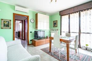 BILOCALE CON BOX E CANTINA
