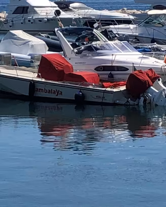 Boston Whaler Outrage 25 WD