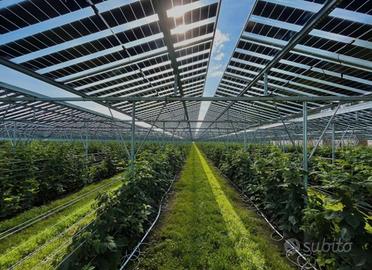 COMPRIAMO TERRENI AGRICOLI/INDUSTRIALI 30ha/200ha