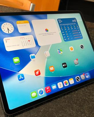 Apple i pad  12,9 3gen.