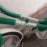 Bicicletta Caledonia 