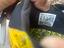 Immagine 3