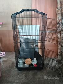 gabbia per uccelli 