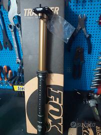 Telescopico Fox Kashima