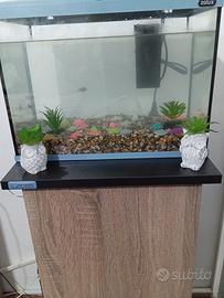 vasca acquario 30 litri 
