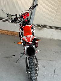 Beta rr 50