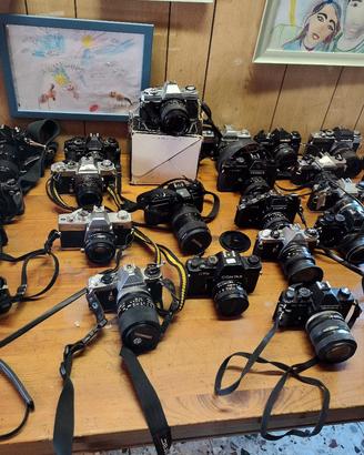 Macchine fotografiche rullino Nikon, Minolta, etc