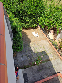 Indipendente Bagno di Gavorrano