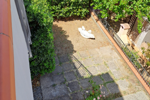 Indipendente Bagno di Gavorrano