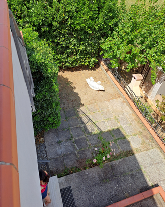 Indipendente Bagno di Gavorrano