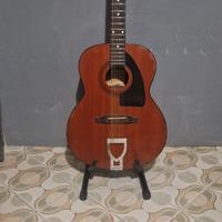 Chitarra 12 corde Eko Navajo 1970