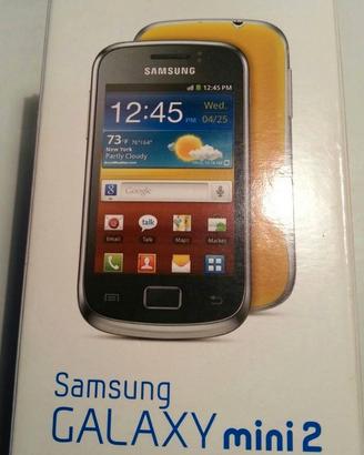 Accessori Samsung Galaxy Mini 2 GT-S6500