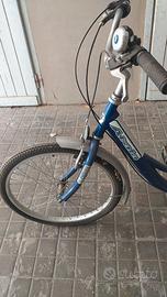 Triciclo cargo, marca ATALA, per adulti