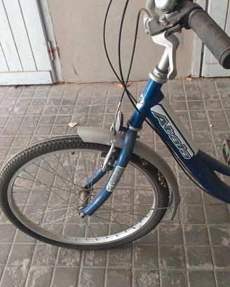 Triciclo cargo, marca ATALA, per adulti