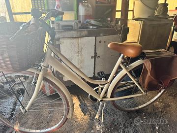Bicicletta vintage