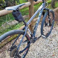 Bici Mountain Bike Olympia Full Carbon