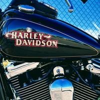 Harley Dyna Low Rider 1340  Evolution FXDL CRS FMI