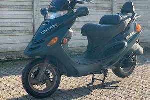 Kymco Dink 150 - 2000