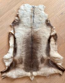 Pelle renna per chalet di montagna