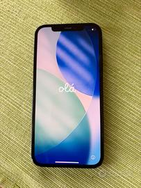 IPhone 12 256 GB usato