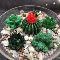 Composizione di cactus in gesso 